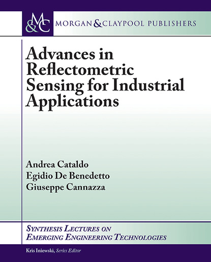 

Advances in Reflectometric Sensing for Industrial Applications