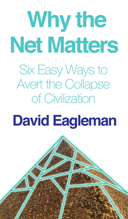 David  Eagleman - Why the Net Matters