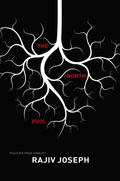 

The North Pool