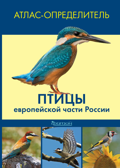 Коллектив авторов - Птицы европейской части России