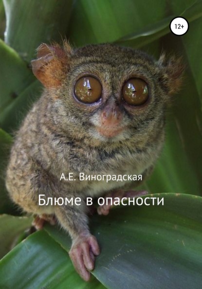 

Блюме в опасности