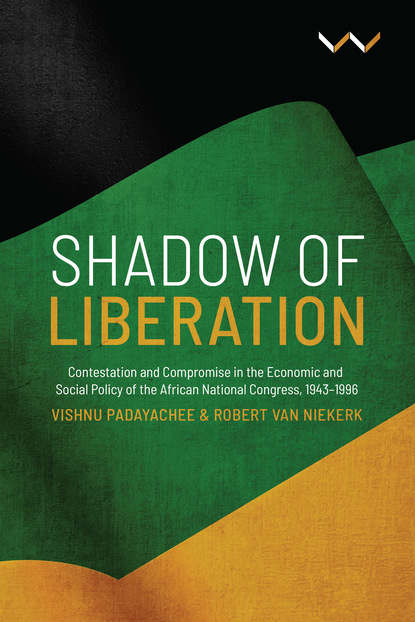 Vishnu Padayachee - Shadow of Liberation