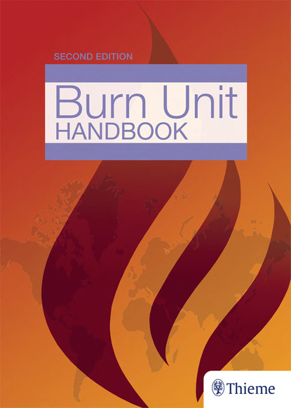 Jeffrey J. Roth - The Essential Burn Unit Handbook