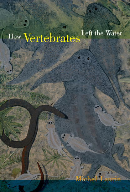 Michel Laurin - How Vertebrates Left the Water