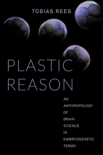 

Plastic Reason