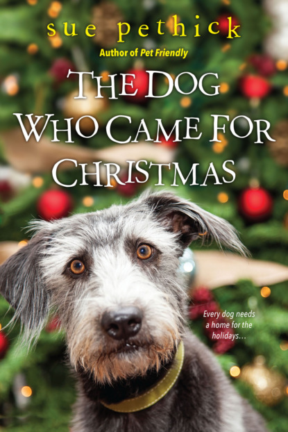 

The Dog Who Came for Christmas