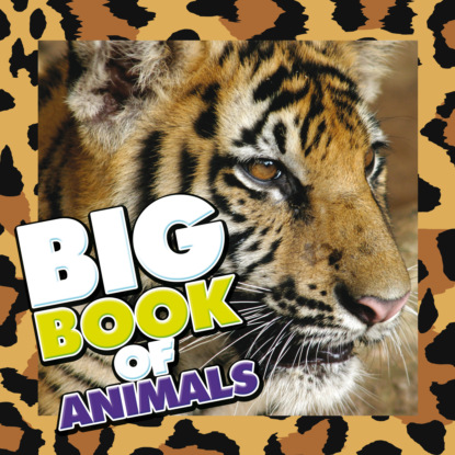 

Big Book of Animals