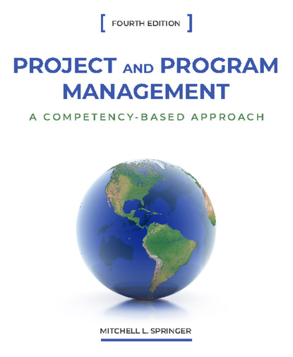 Mitchell L. Springer - Project and Program Management