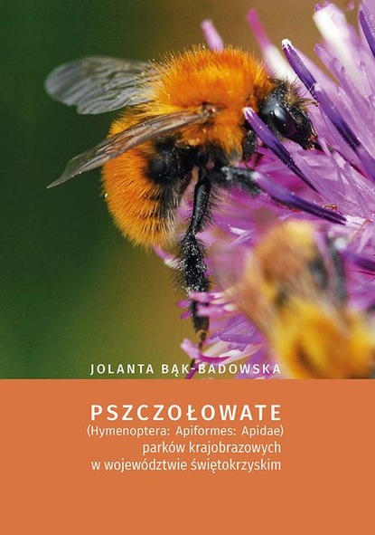 Jolanta Bąk-Badowska - Pszczołowate (Hymenoptera: Apiformes: Apidae) parków krajobrazowych w województwie świętokrzyskim