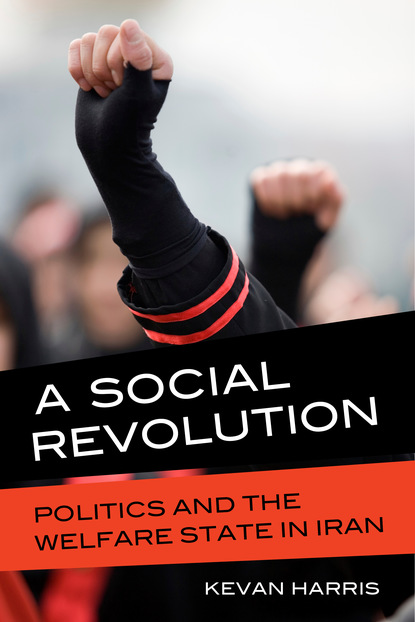 Kevan Harris - A Social Revolution