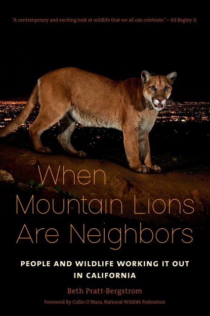 

When Mountain Lions Are Neighbors