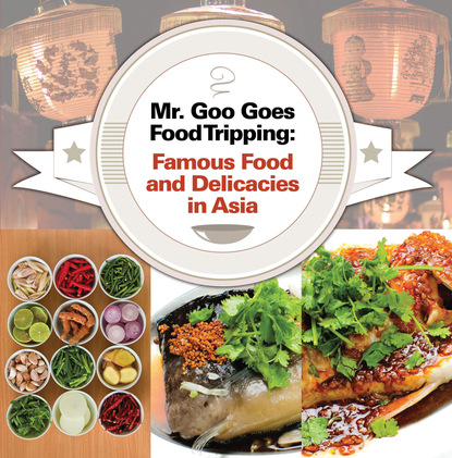 Baby Professor - Mr. Goo Goes Food Tripping: Famous Food and Delicacies in Asia's