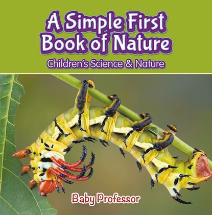 Baby Professor - A Simple First Book of Nature - Children's Science & Nature