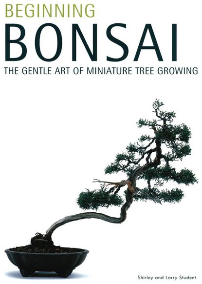 Larry Student - Beginning Bonsai