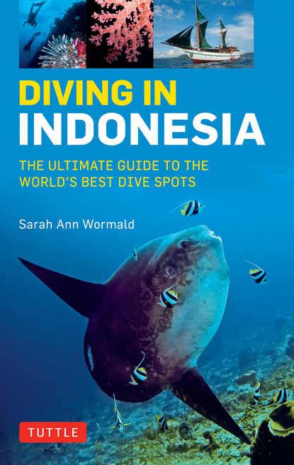 Sarah Ann Wormald - Diving in Indonesia