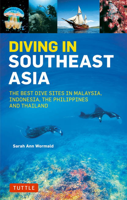 David Espinosa - Diving in Southeast Asia