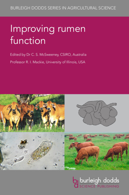 Группа авторов - Improving rumen function