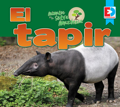 

Animales de la Selva Amazónica — El tapir