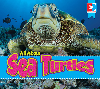 

All About Sea Turtles