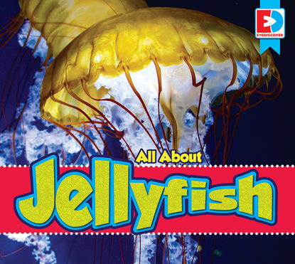 

All About Jellyfish