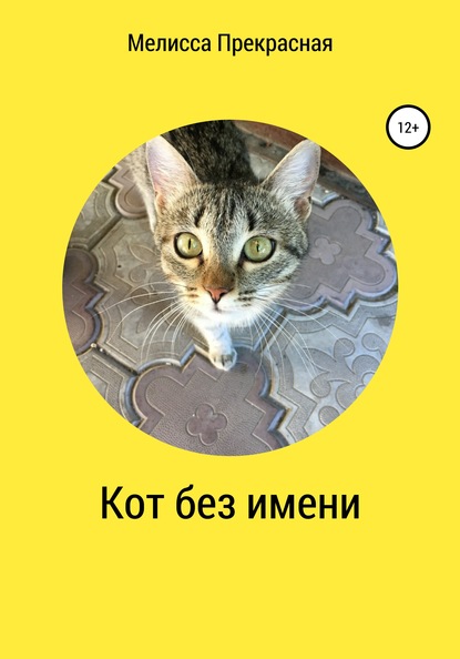 

Кот без имени