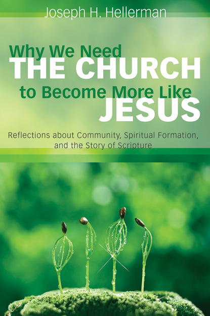 Joseph H. Hellerman — Why We Need the Church to Become More Like Jesus