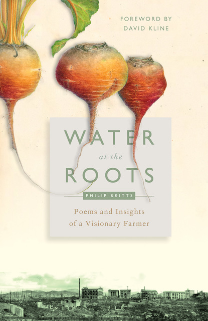 

Water at the Roots