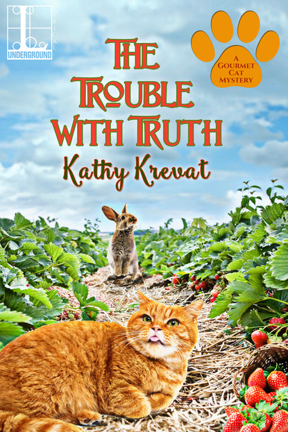 Kathy Krevat — The Trouble with Truth