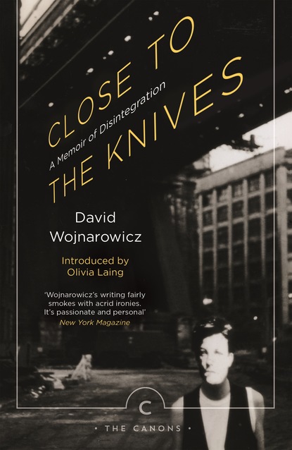 David Wojnarowicz - Close to the Knives