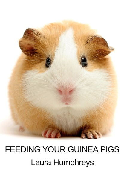 Laura Humphreys - Feeding Your Guinea Pigs