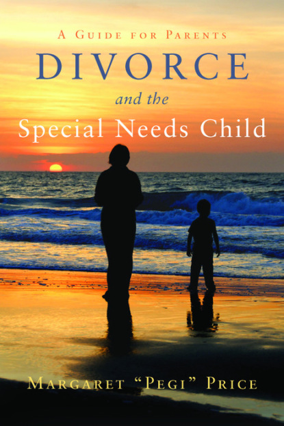 Margaret Pegi Price - Divorce and the Special Needs Child