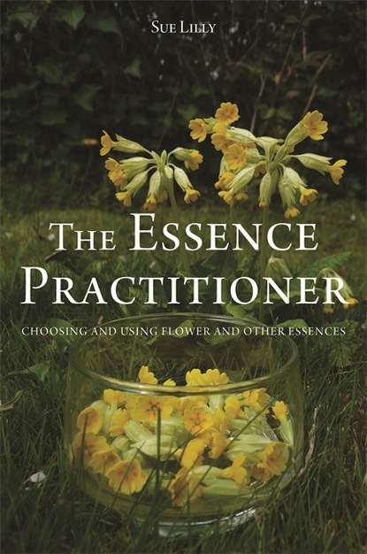 Sue Lilly - The Essence Practitioner