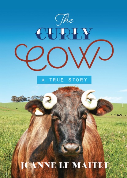 

The Curly Cow