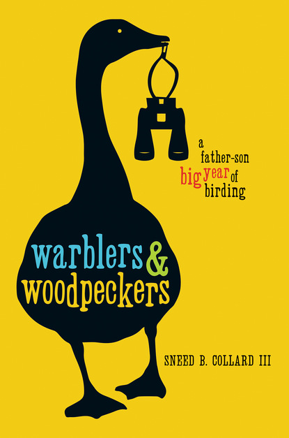 Sneed B. Collard III - Warblers & Woodpeckers