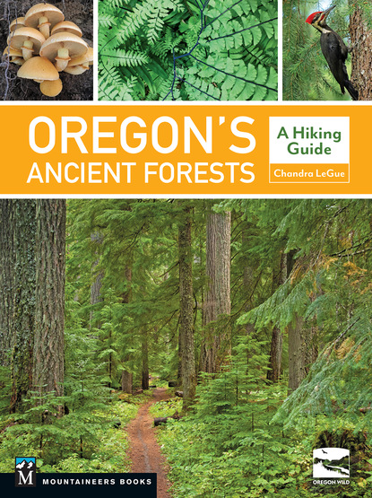 Chandra LeGue — Oregon's Ancient Forests