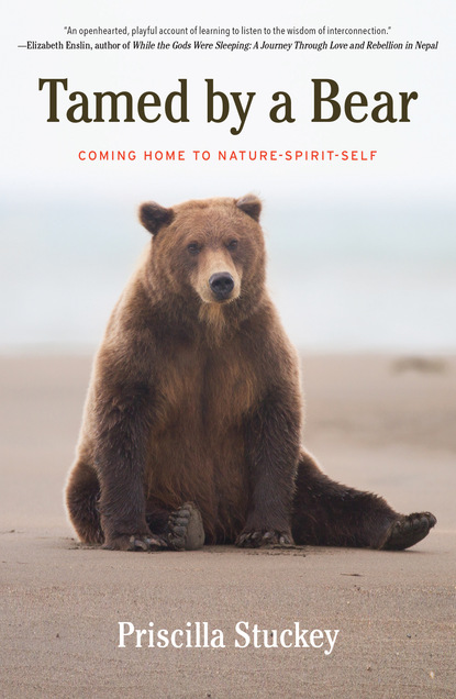 

Tamed By a Bear