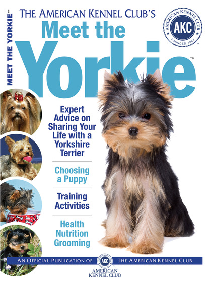 Dog Fancy Magazine - Meet the Yorkie