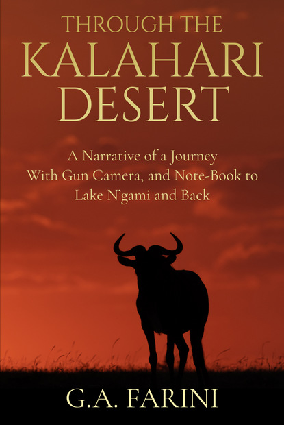 

Through the Kalahari Desert