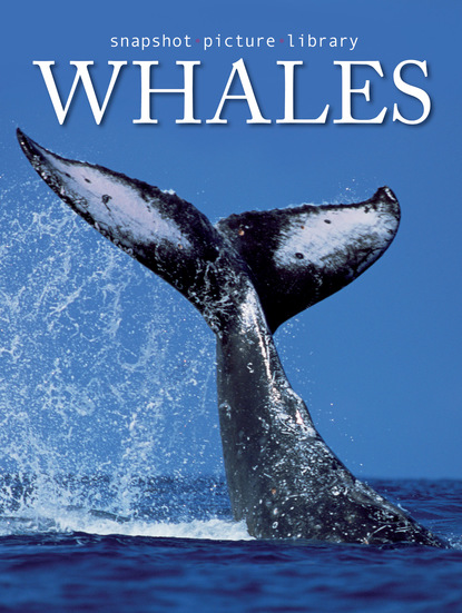 

Whales