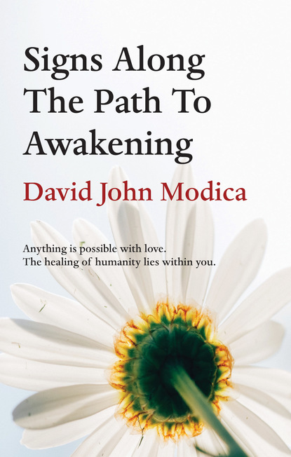 David John Modica — Signs Along The Path To Awakening