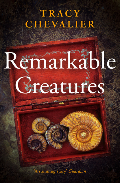 Remarkable Creatures (Tracy  Chevalier). 