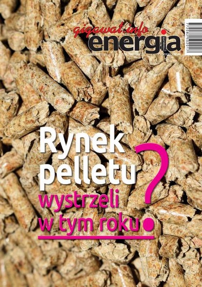 Sylwester Wolak — Energia Gigawat nr 3/2020