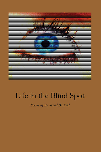 Raymond Barfield - Life in the Blind Spot