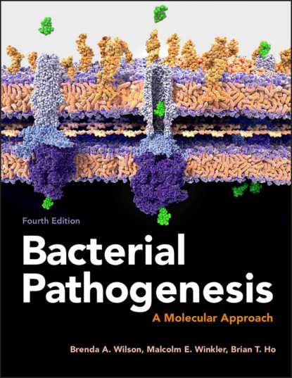 Bacterial Pathogenesis - Brenda A.  Wilson