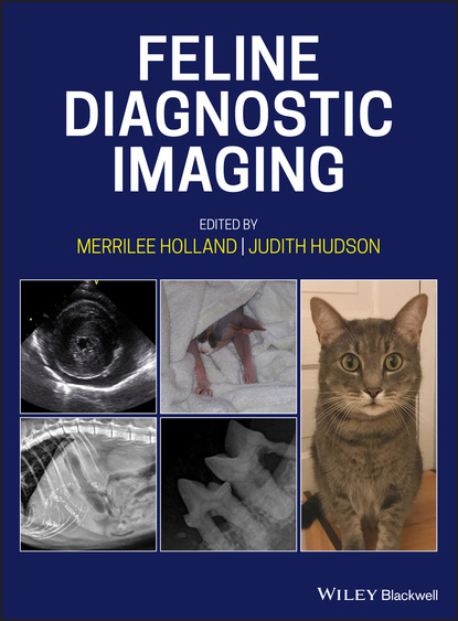 Группа авторов - Feline Diagnostic Imaging