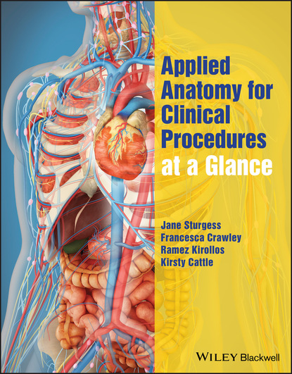 Jane Sturgess - Applied Anatomy for Clinical Procedures at a Glance
