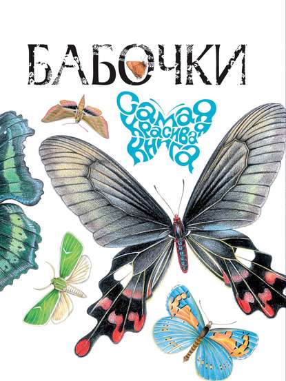В. Г. Бабенко — Бабочки