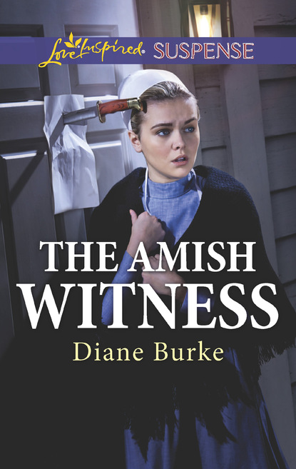 Diane Burke - The Amish Witness