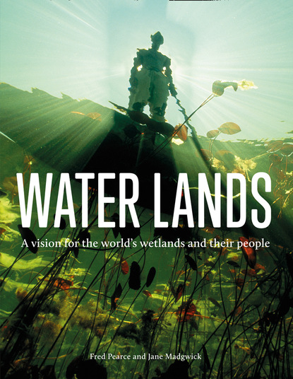 Water Lands (Fred Pearce). 