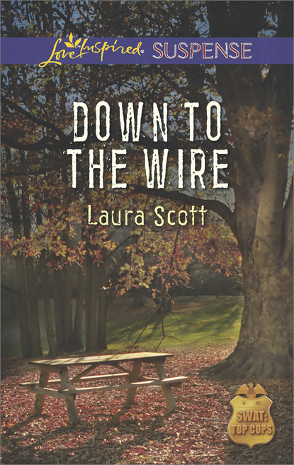 Laura Scott - Down to the Wire